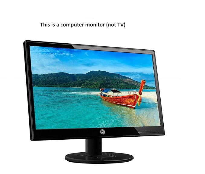 RP- HP 18.5 Inch Monitor